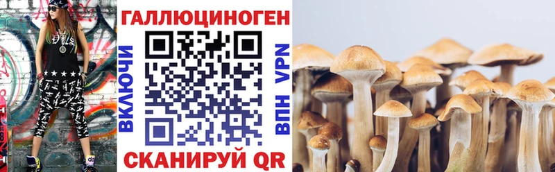 Галлюциногенные грибы мухоморы  Партизанск 